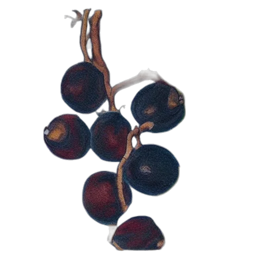 food, crown, jewelry, staff, photorealistic, oil painting, watercolor, 3d render transparent PNG cut-out