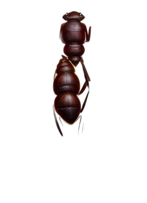 staff, jewelry, crown, animal, 3d render, concept art, photorealistic, pixel art transparent PNG cut-out