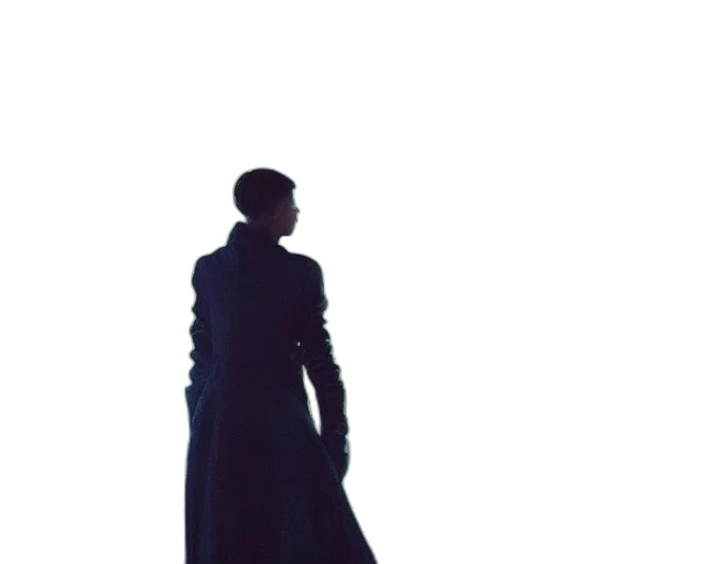 sword, dress, jacket, staff transparent PNG cut-out