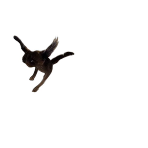animal, dragon, creature, staff transparent PNG cut-out