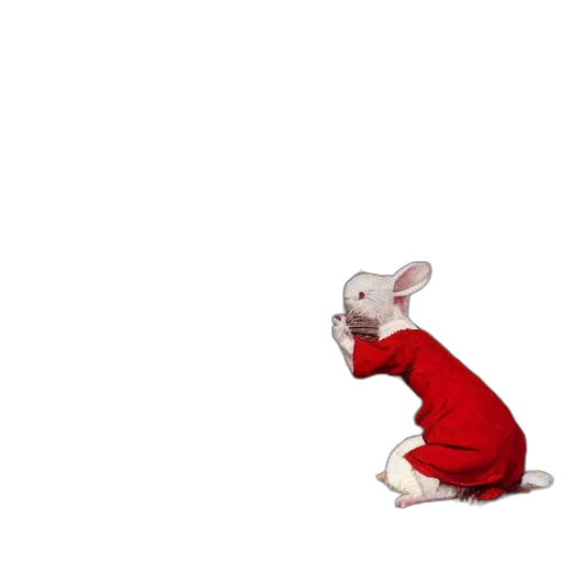 animal, dress, jacket, creature, 3d render, concept art, photorealistic, red transparent PNG cut-out