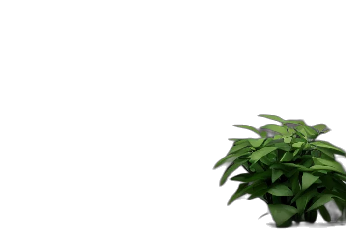 flower, staff, robot, furniture transparent PNG cut-out