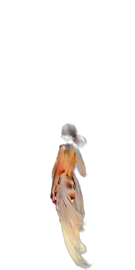dress, creature, hair, robot transparent PNG cut-out