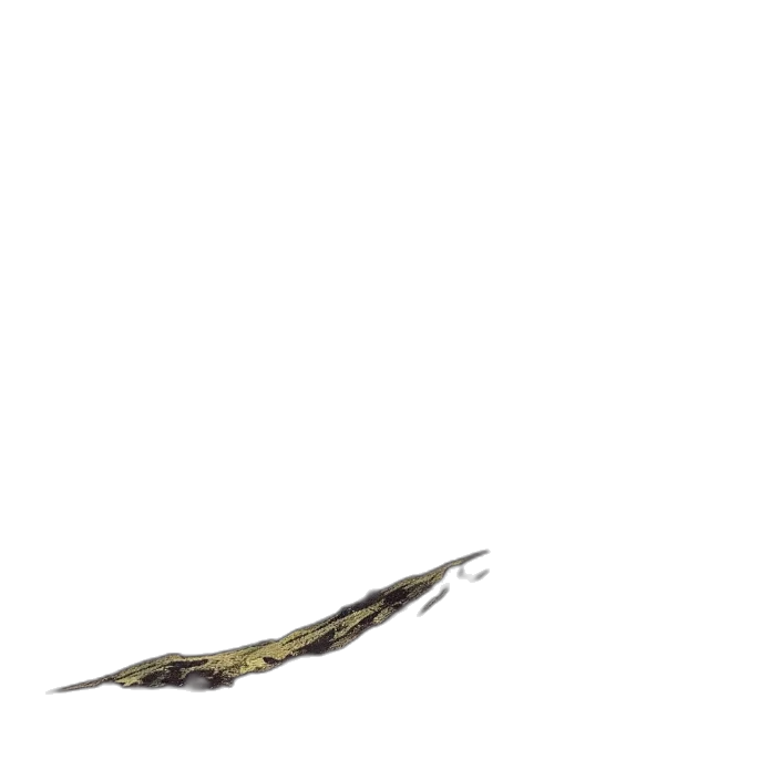 staff, dragon, sword, weapon, concept art, 3d render, photorealistic, fantasy art transparent PNG cut-out