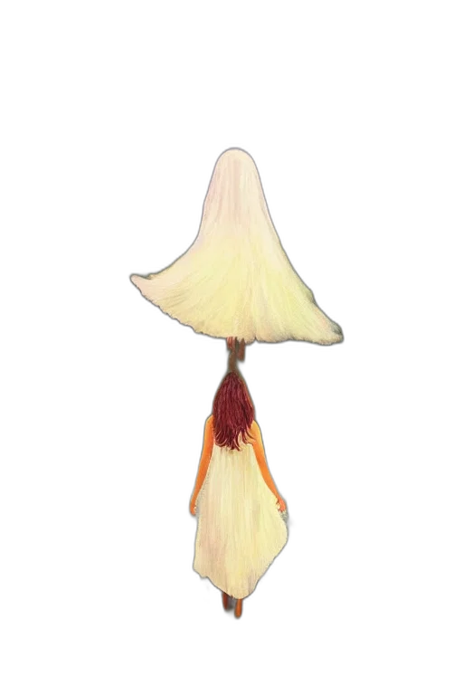 flower, hat, crown, hair transparent PNG cut-out