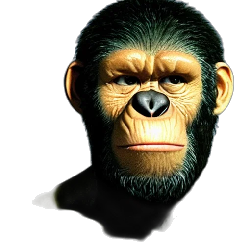 animal, face, mask, creature transparent PNG cut-out