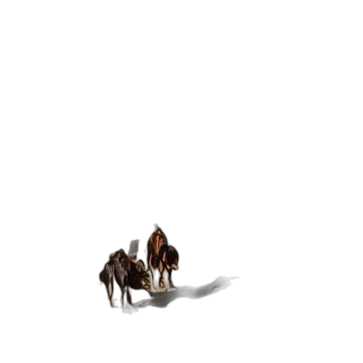 animal, furniture, creature, hair transparent PNG cut-out