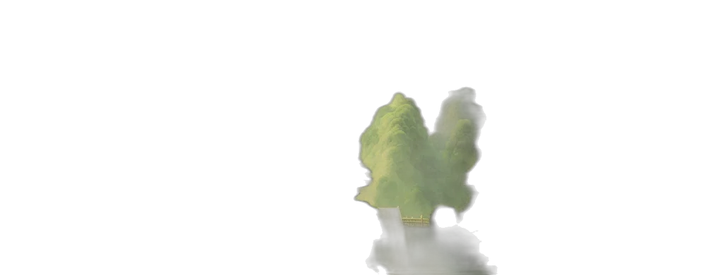 tree, dragon, weapon, bottle transparent PNG cut-out