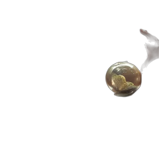 jewelry, food, bottle, animal, 3d render, photorealistic, concept art, outer space transparent PNG cut-out