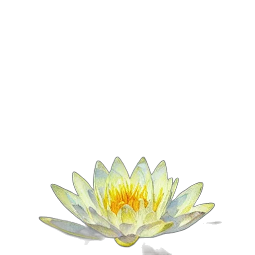 flower, crown, staff, jewelry transparent PNG cut-out