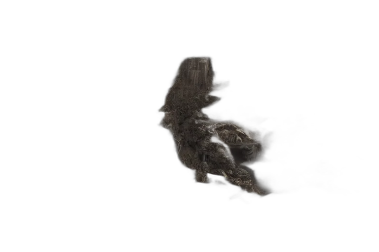 hair, animal, dragon, creature, photorealistic, 3d render, concept art, snow transparent PNG cut-out