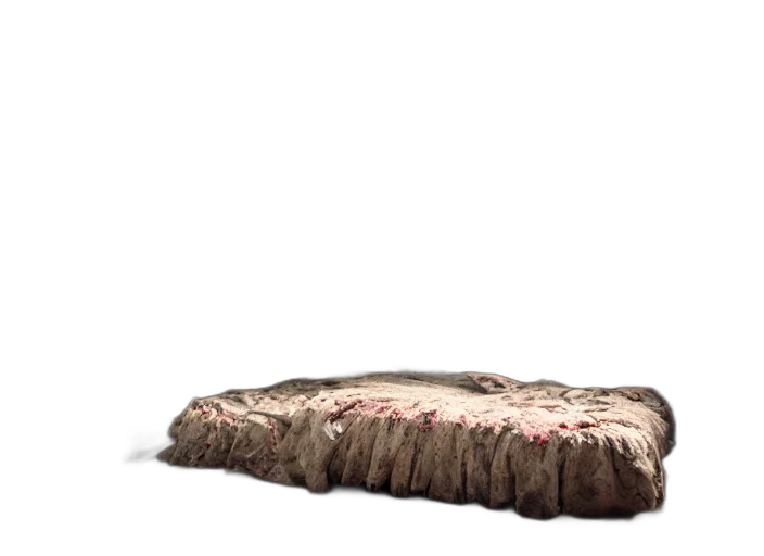 furniture, shoes, hair, hat transparent PNG cut-out