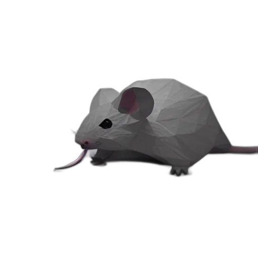 hat, animal, creature, weapon transparent PNG cut-out