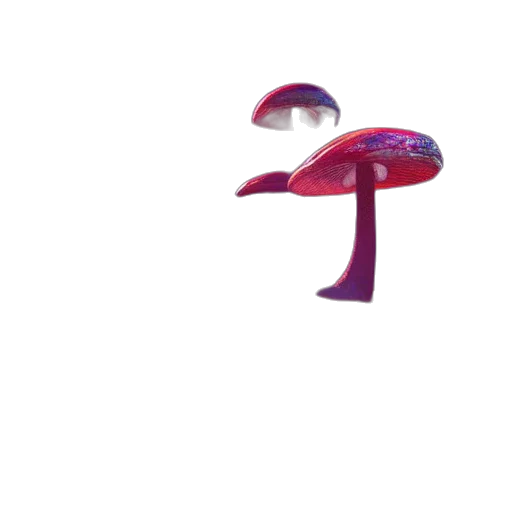 umbrella, hat, shoes, furniture transparent PNG cut-out