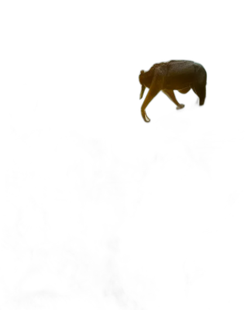 animal, creature, staff, dragon, concept art, pixel art, 3d render, photorealistic transparent PNG cut-out