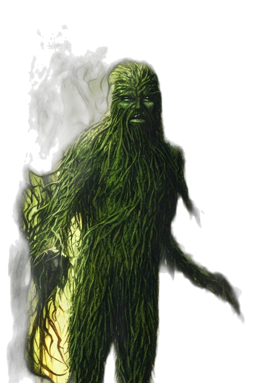 creature, hair, animal, staff transparent PNG cut-out