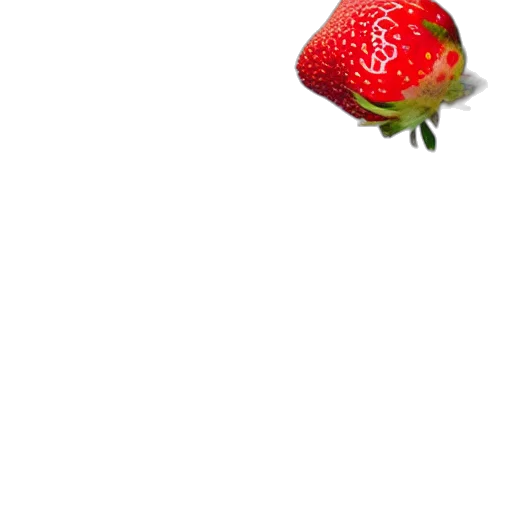 food, animal, flower, hat, pixel art, photorealistic, 3d render, concept art transparent PNG cut-out