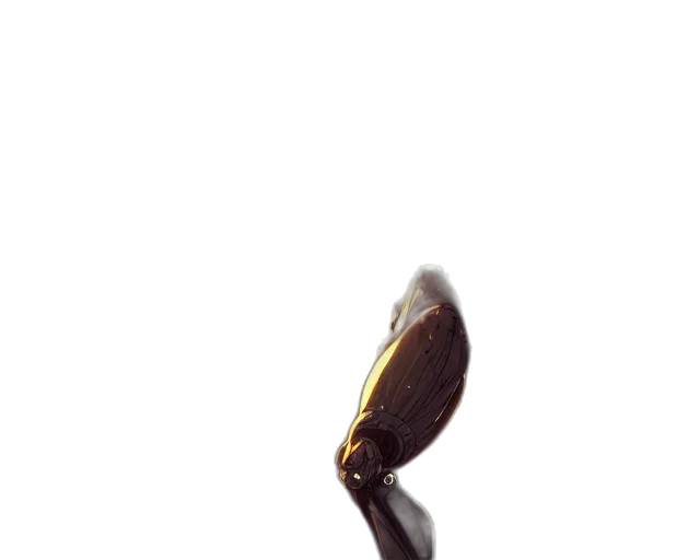 staff, food, hair, flower transparent PNG cut-out
