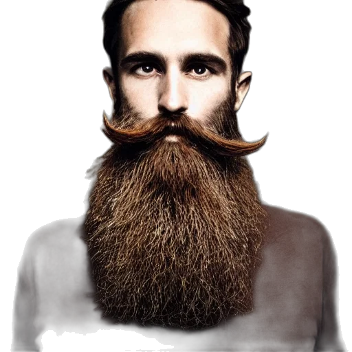 hair, face, photorealistic, cartoon, beautiful, portrait, man, beard transparent PNG cut-out