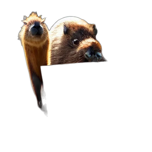animal, creature, hair, staff, concept art, photorealistic, 3d render, pixel art transparent PNG cut-out