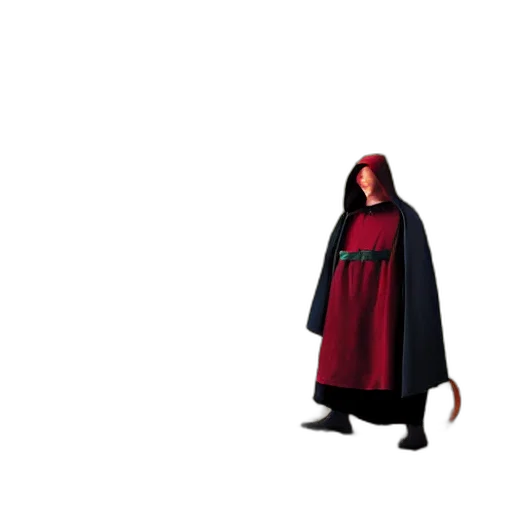 jacket, staff, creature, robot transparent PNG cut-out