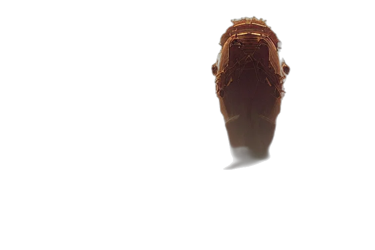 shoes, food, face, creature, 3d render, photorealistic, concept art, outer space transparent PNG cut-out