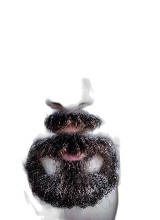 hat, animal, hair, mask transparent PNG cut-out
