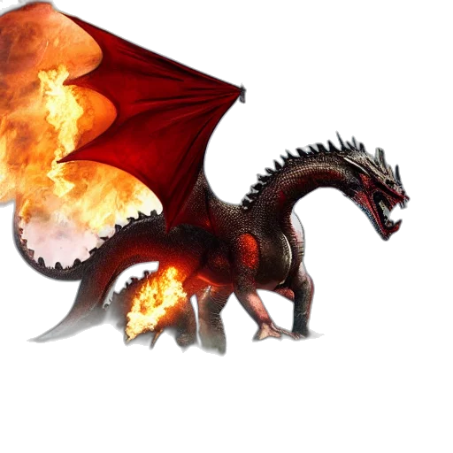 dragon, animal, creature, fantasy art transparent PNG cut-out