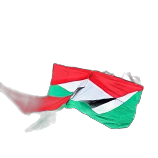 weapon, hat, 3d render, freedom, palestina transparent PNG cut-out