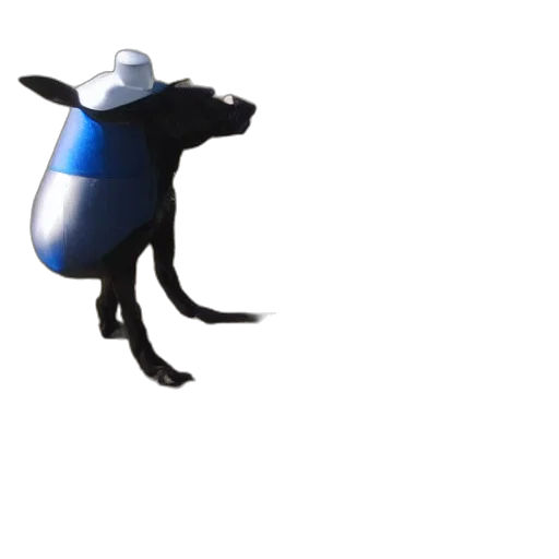 hat, animal, robot, creature, concept art, 3d render, testing, alf transparent PNG cut-out
