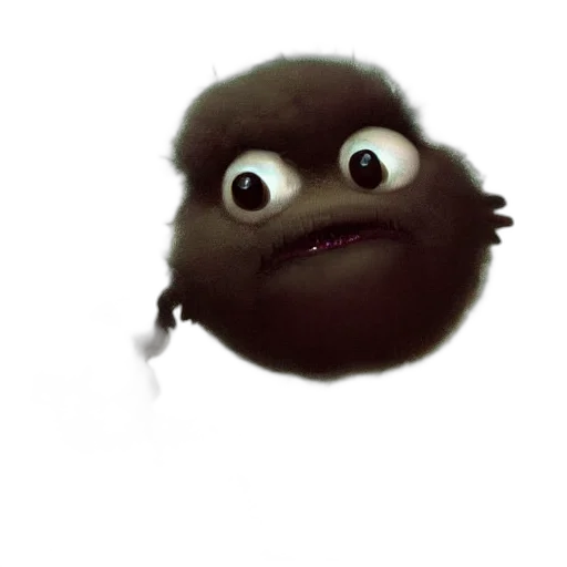 hair, creature, animal, face transparent PNG cut-out