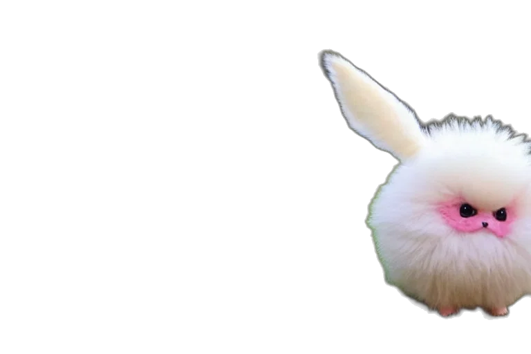 animal, creature, hair, hat transparent PNG cut-out
