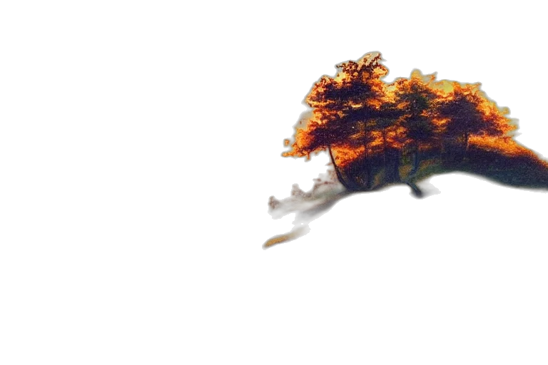 dragon, tree, crown, creature, 3d render, photorealistic, concept art, fantasy art transparent PNG cut-out