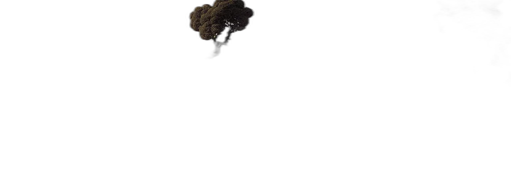 hair, tree, hat, crown transparent PNG cut-out