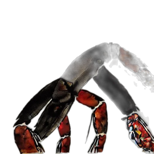 robot, animal, weapon, creature transparent PNG cut-out