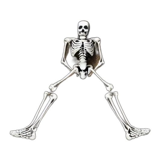 jewelry, robot, staff, animal, concept art, human, skeleton, half transparent PNG cut-out