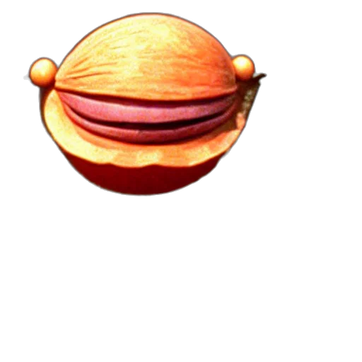 food, staff, hat, animal transparent PNG cut-out