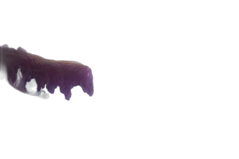 dragon, creature, animal, crown, 3d render, photorealistic, concept art, pixel art transparent PNG cut-out