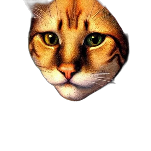 animal, face, jewelry, staff transparent PNG cut-out