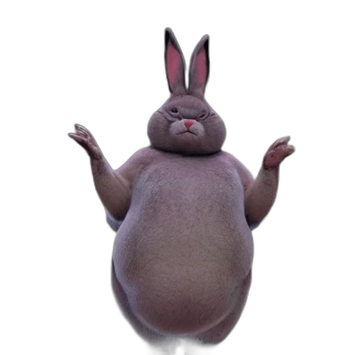 animal, creature, dress, food transparent PNG cut-out