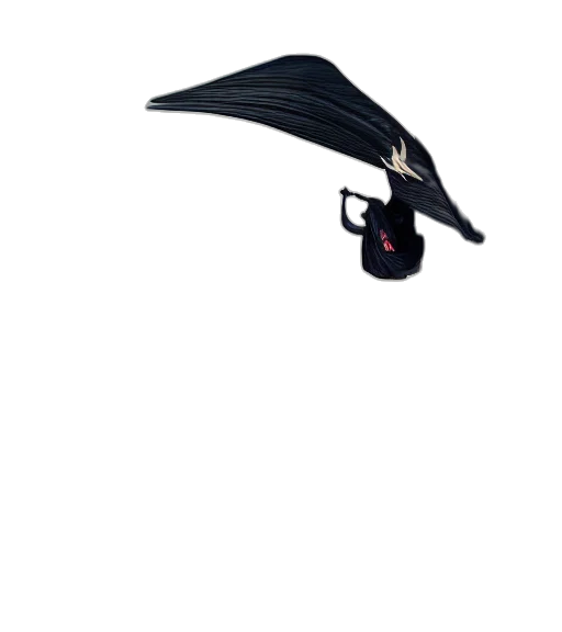 umbrella, hat, staff, mask transparent PNG cut-out