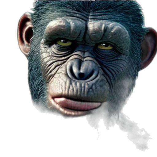 animal, face, creature, mask transparent PNG cut-out