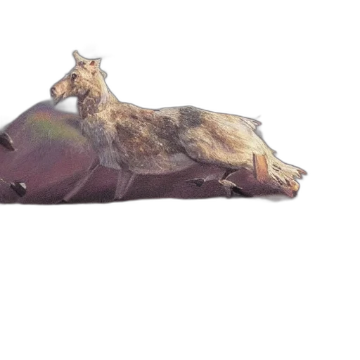 animal, weapon, sword, staff transparent PNG cut-out