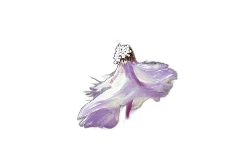 jewelry, dress, crown, flower transparent PNG cut-out