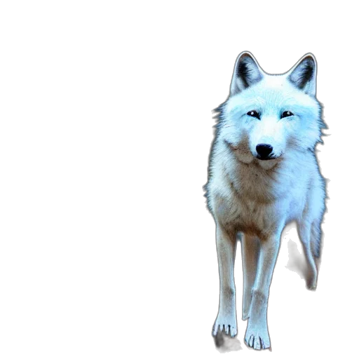 animal, creature, staff, face, 3d render, concept art, pixel art, photorealistic transparent PNG cut-out
