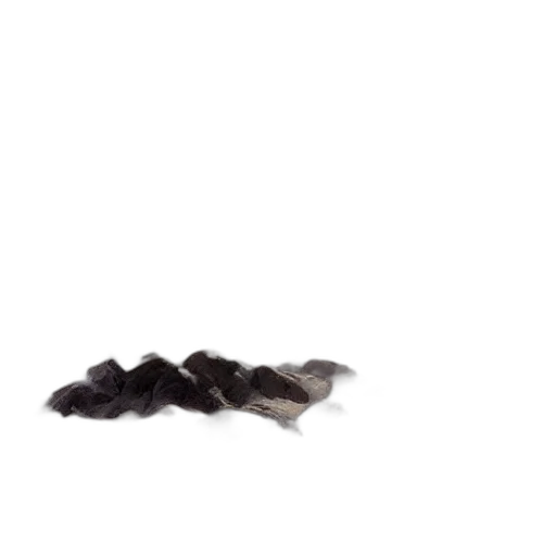 hair, crown, hat, shoes, photorealistic, 3d render, earth tones, dark transparent PNG cut-out