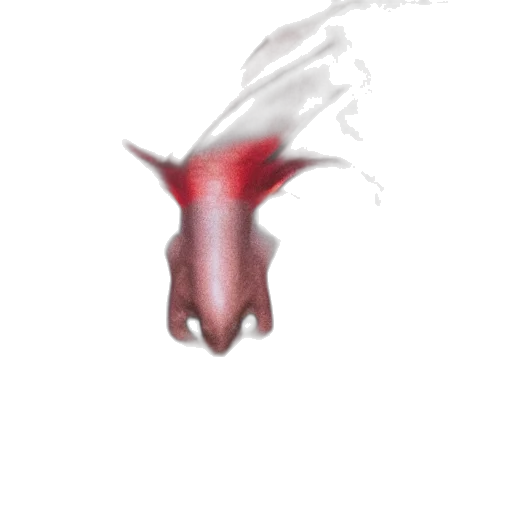 dragon, creature, mask, animal transparent PNG cut-out