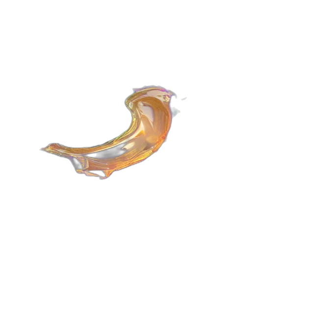 animal, dragon, food, creature transparent PNG cut-out