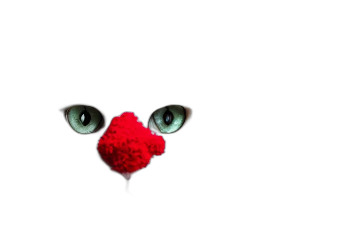 mask, face, animal, flower transparent PNG cut-out