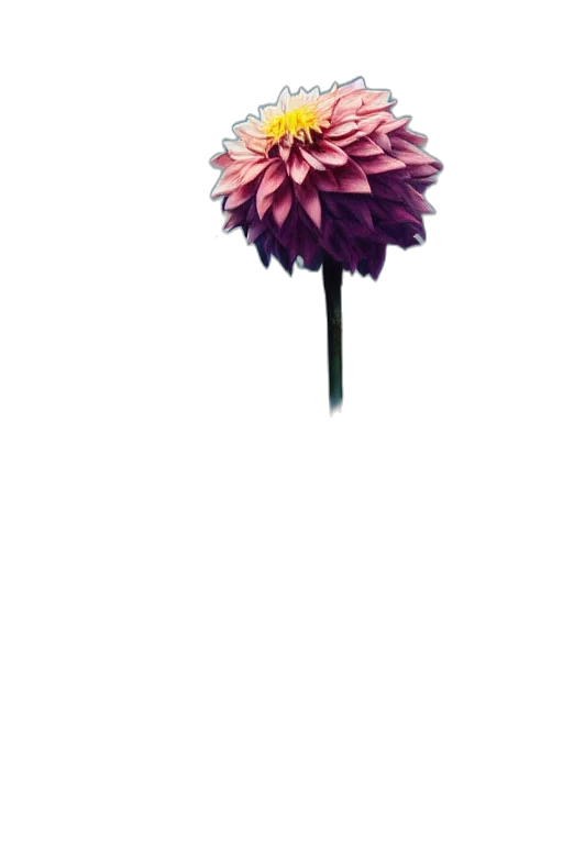 flower, umbrella, staff, crown, 3d render, photorealistic, pixel art, concept art transparent PNG cut-out